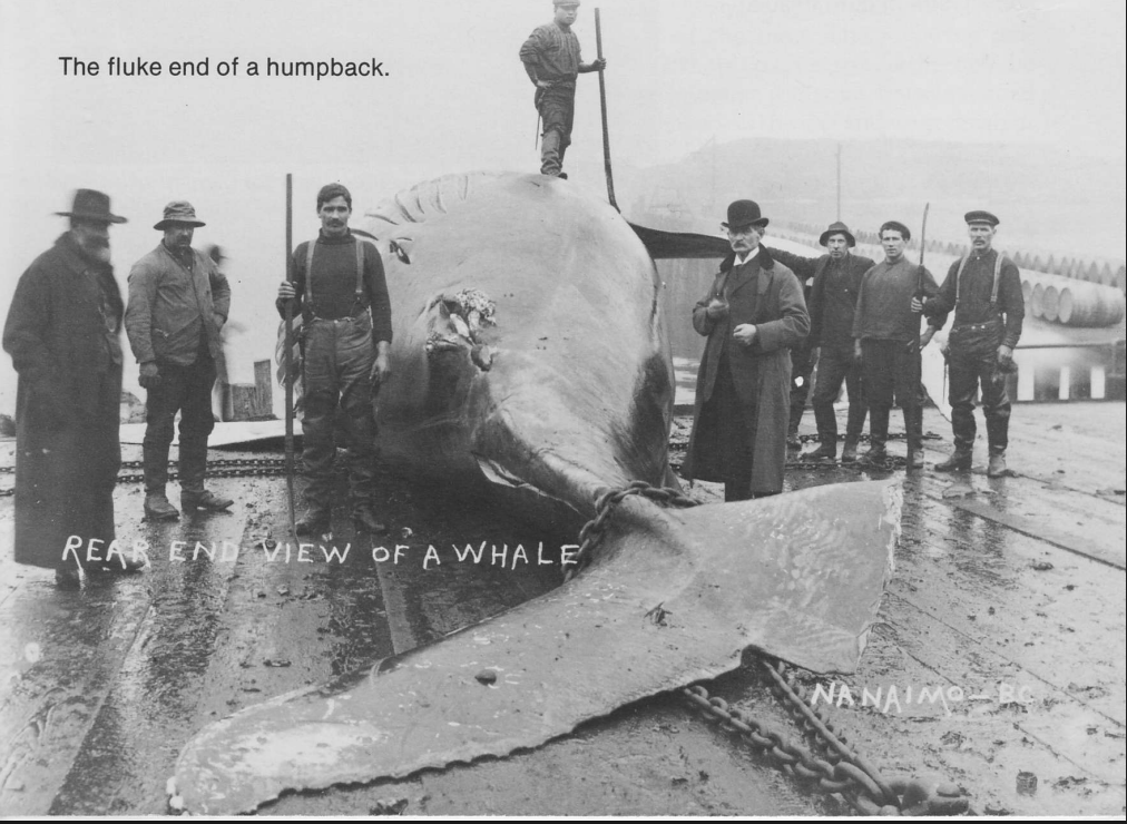 Screenshot 2026 01 25 at 14.40.26